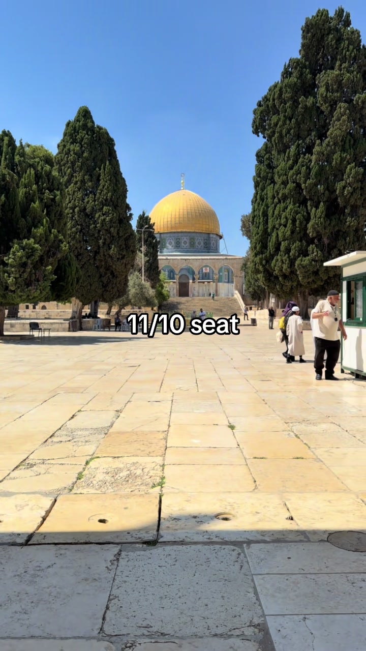 @Mohammad Saleh 🇵🇸