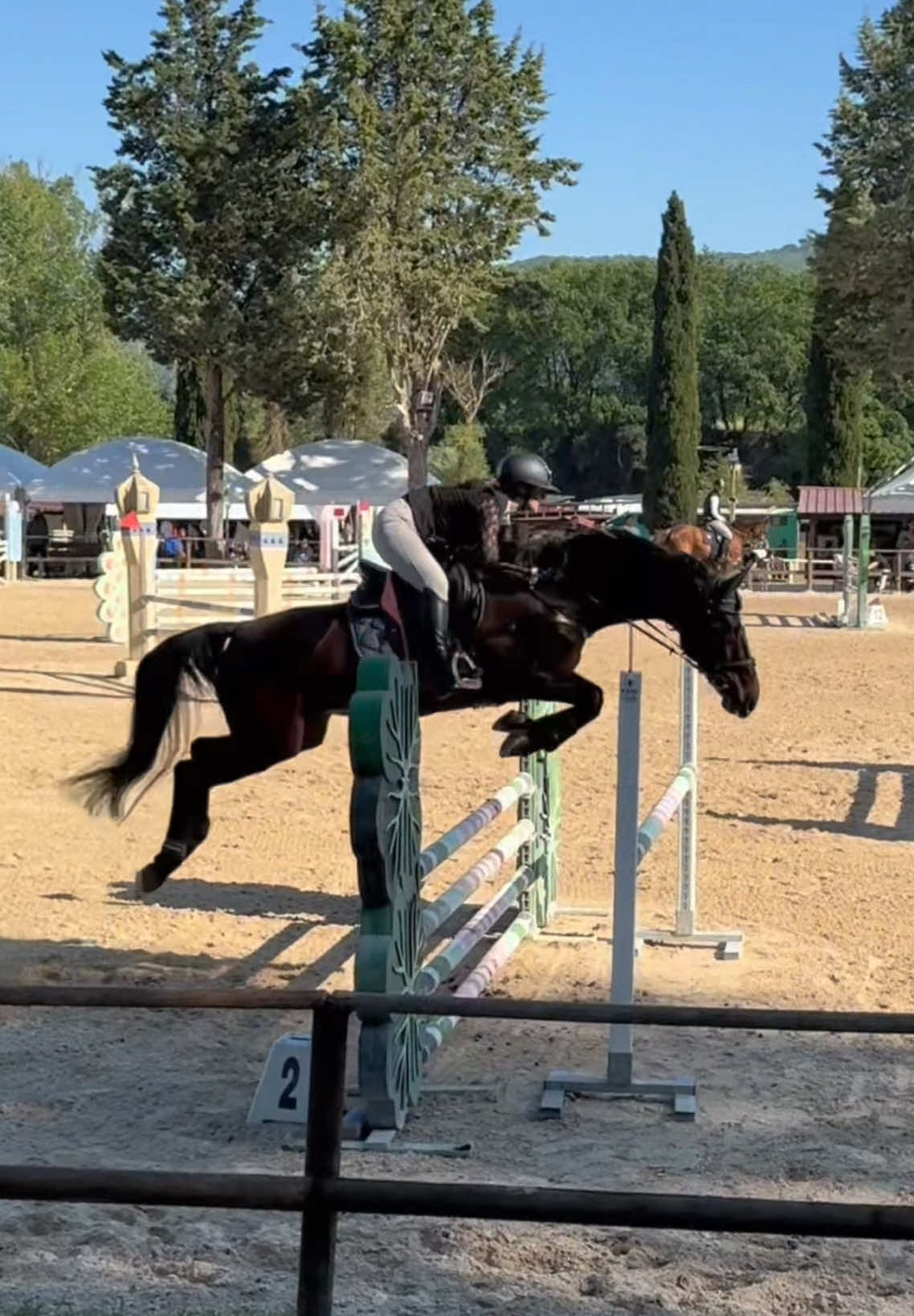 @Fabiana Tuccillo🇮🇹🐴🫀