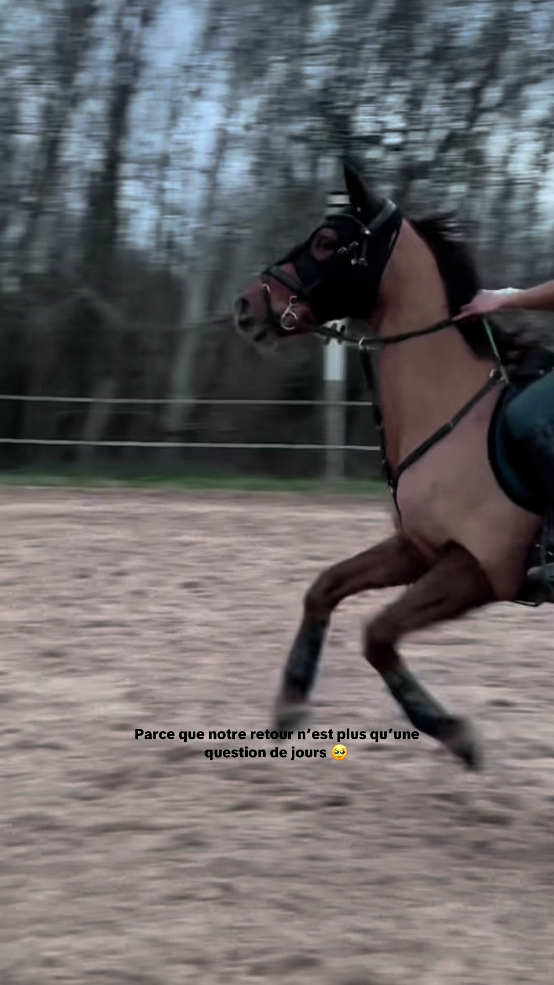 @Le poney qui salut les jurys✨