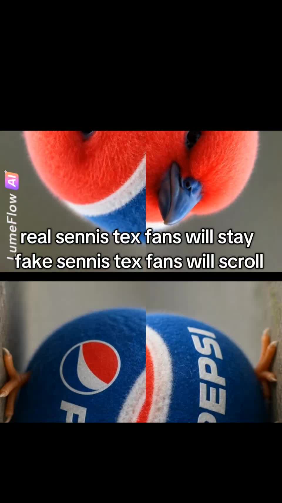 @PepsiSennisTexBird (Qoon Aura)