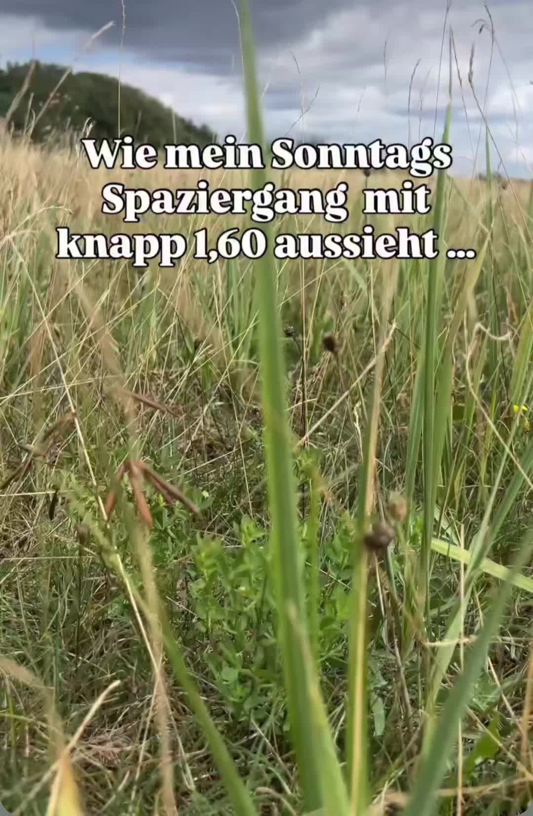 @Elli