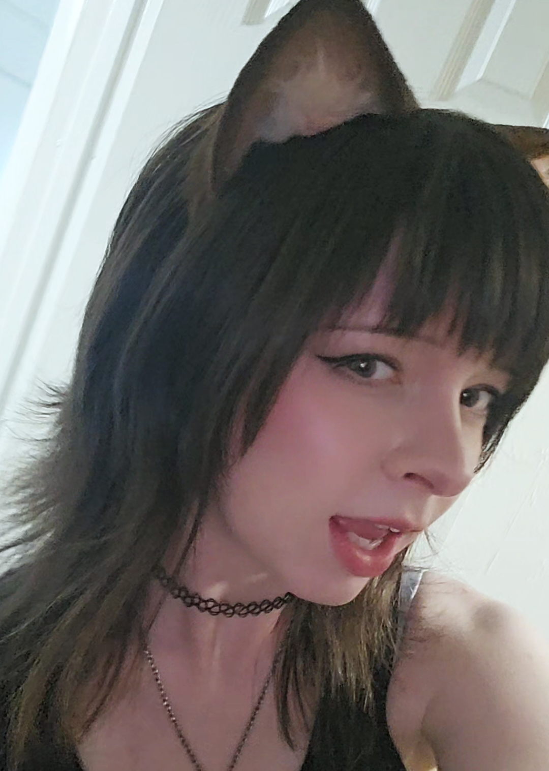 @nyanko🐾