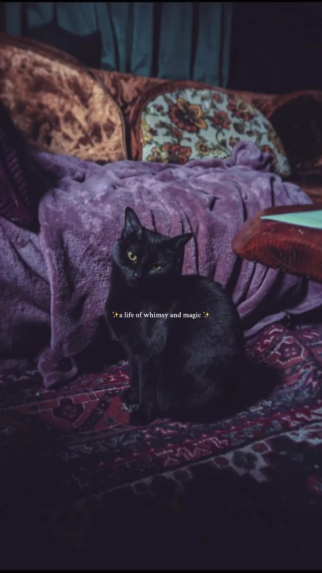 @all_the_vibes