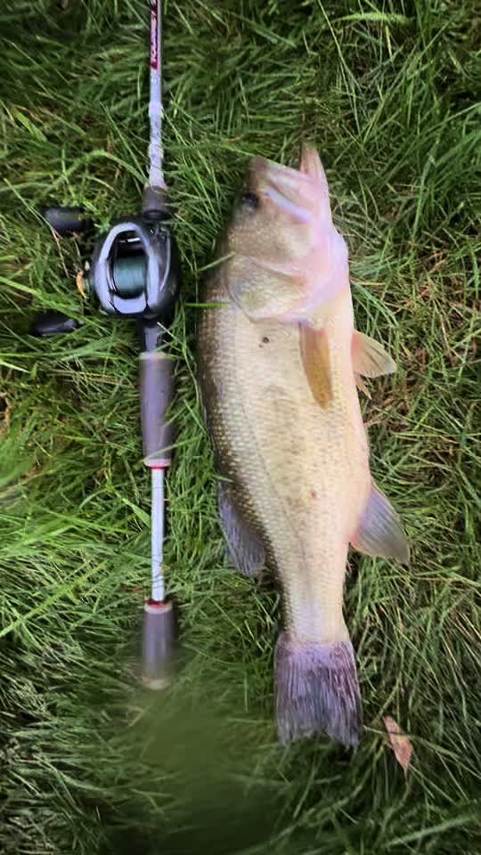 @IA Fishing