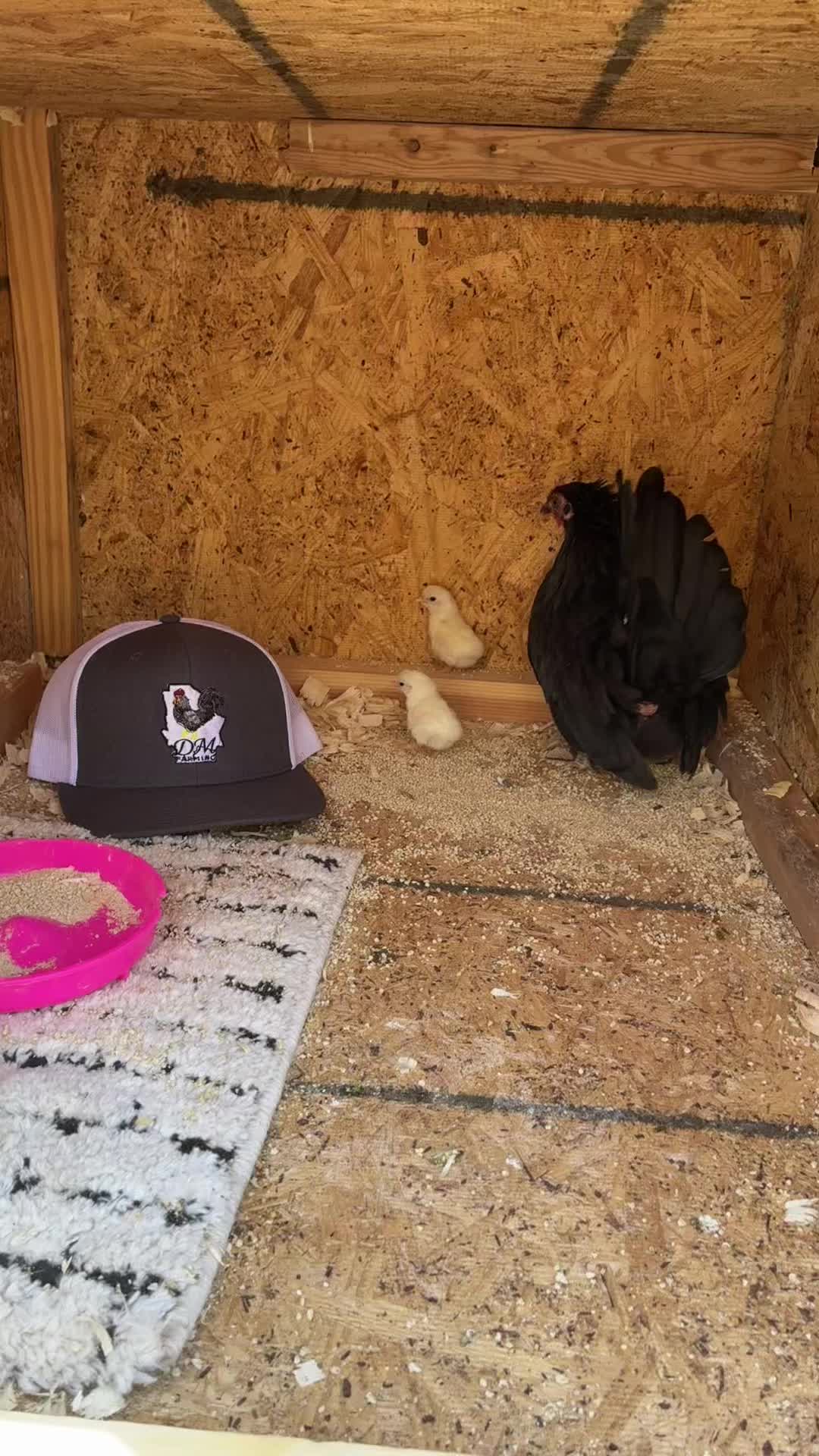 @FARMING.MM56