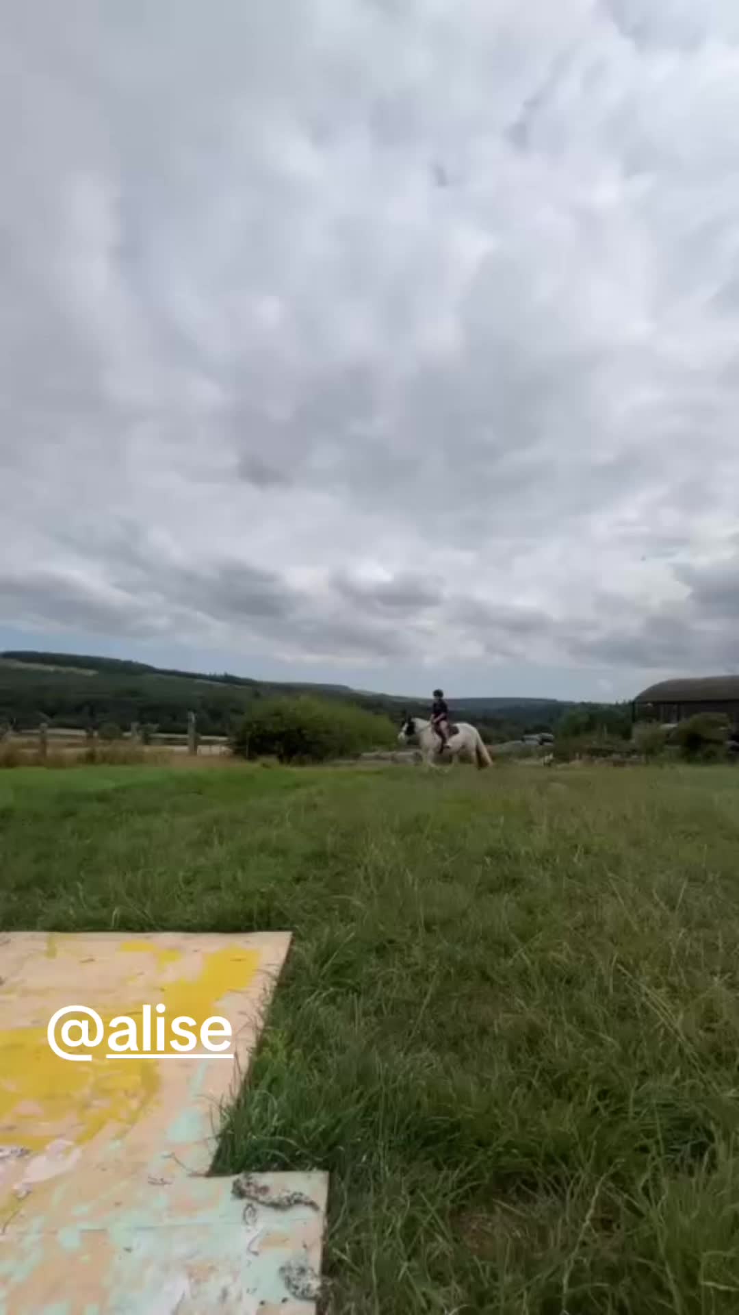 @Zara’spam🇮🇪🐴
