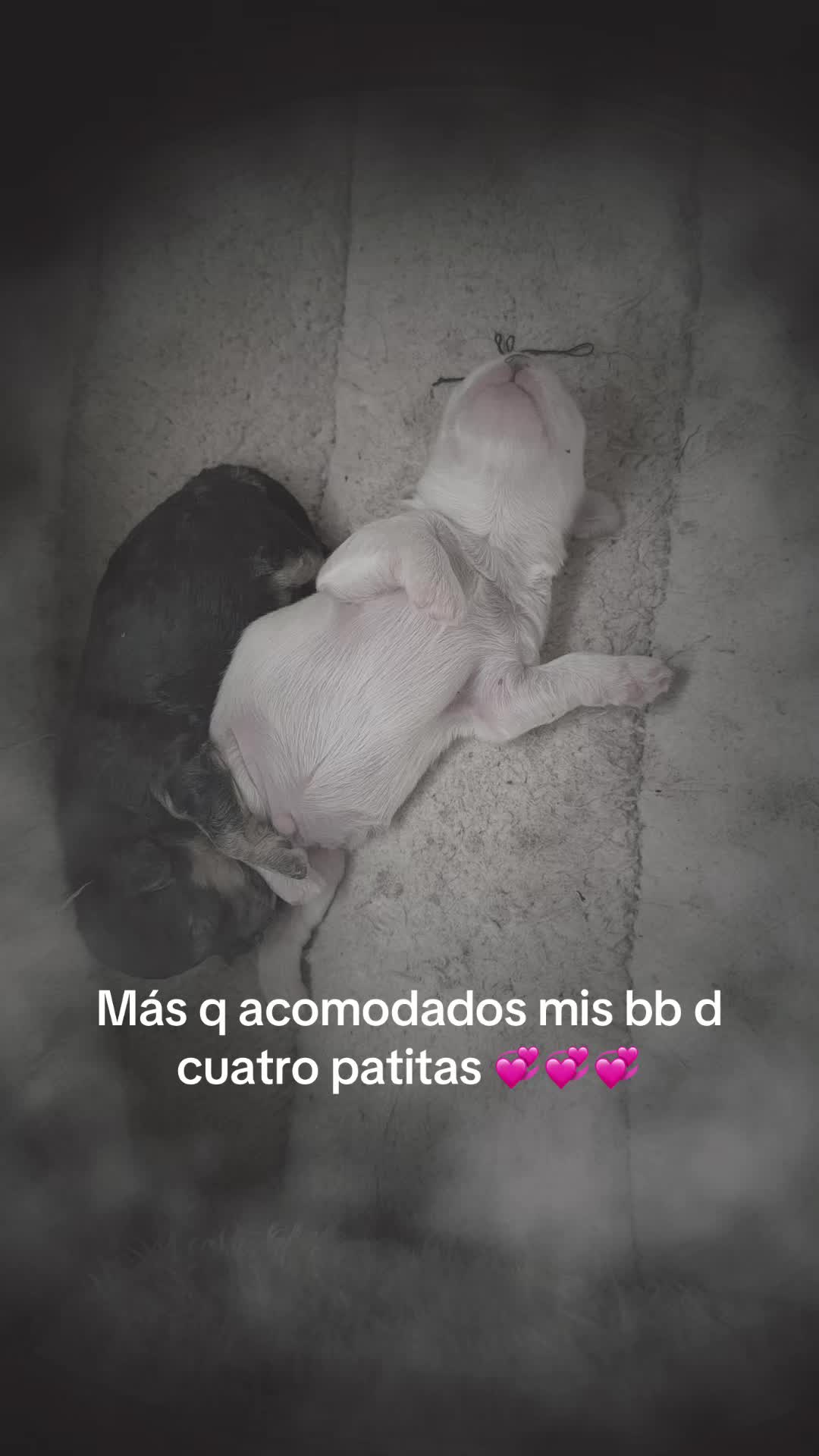 @La chaparrita sexi💝