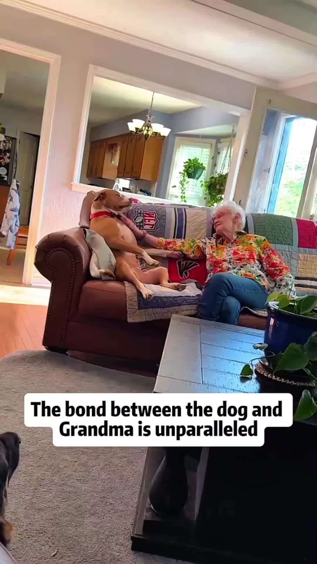 @Cute Pet ❤😘