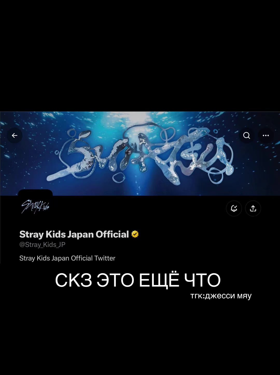 @jessi⁸| SUIATSU