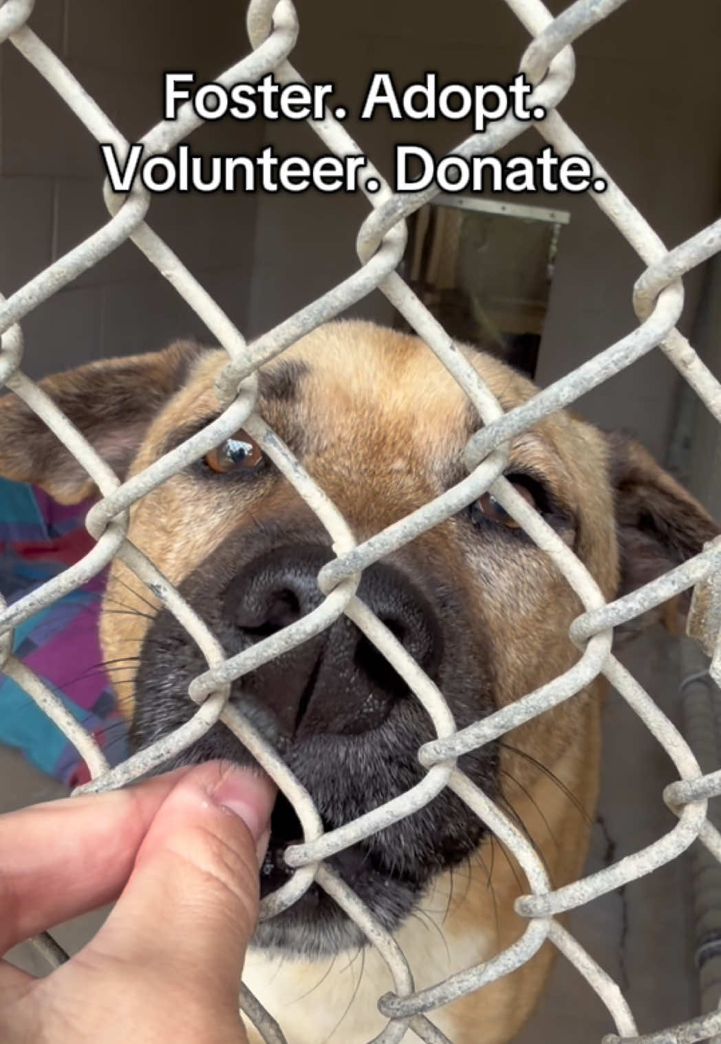 @Corridor Rescue Inc.