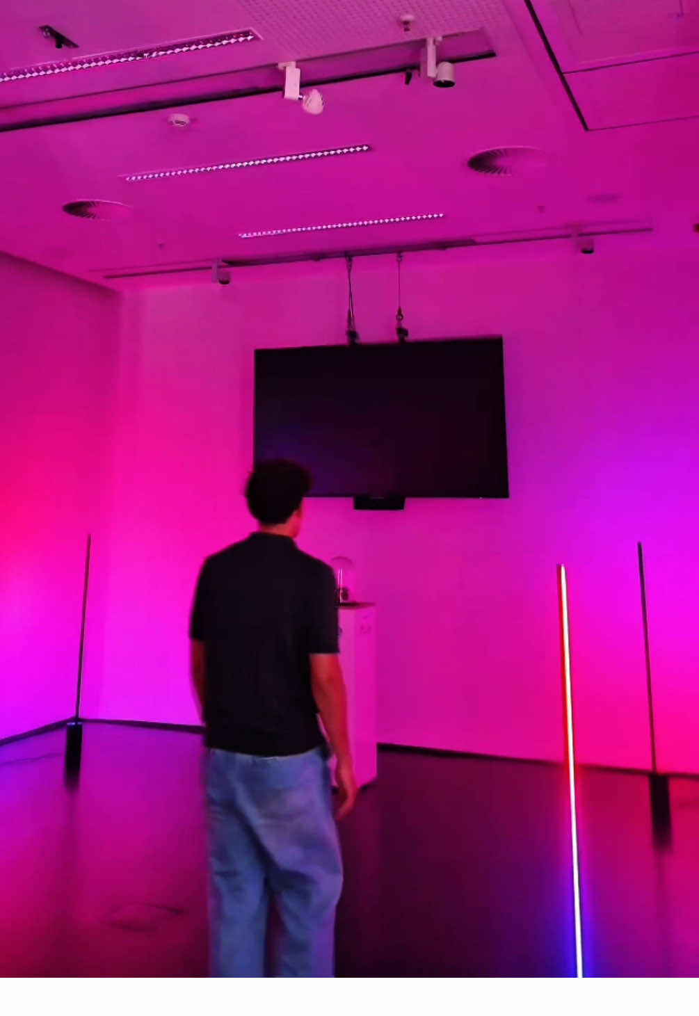 @Philips Hue