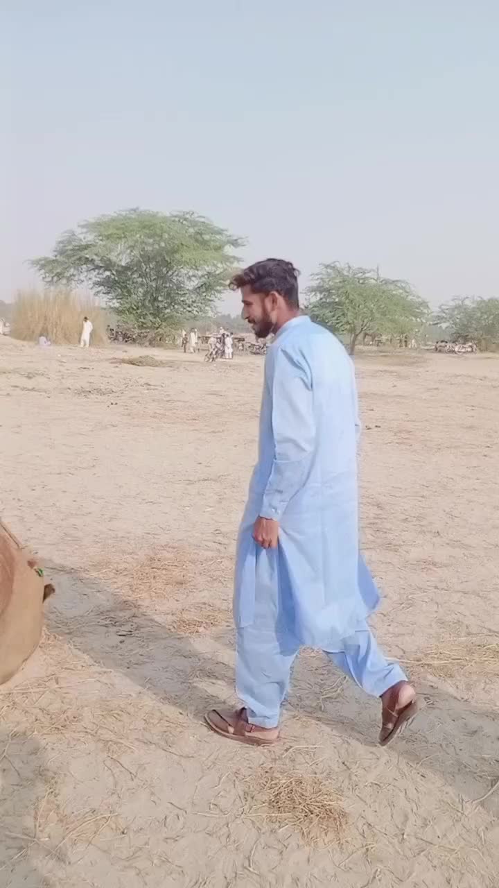 @Muzamil Hayat