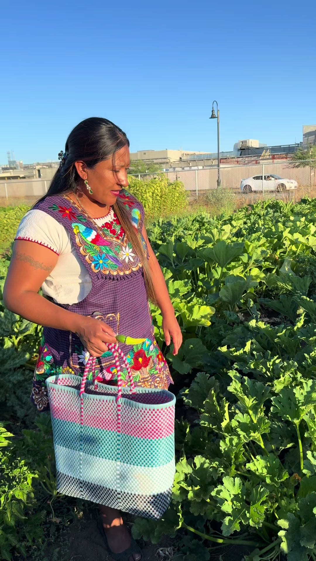 @Erika la oaxaqueña