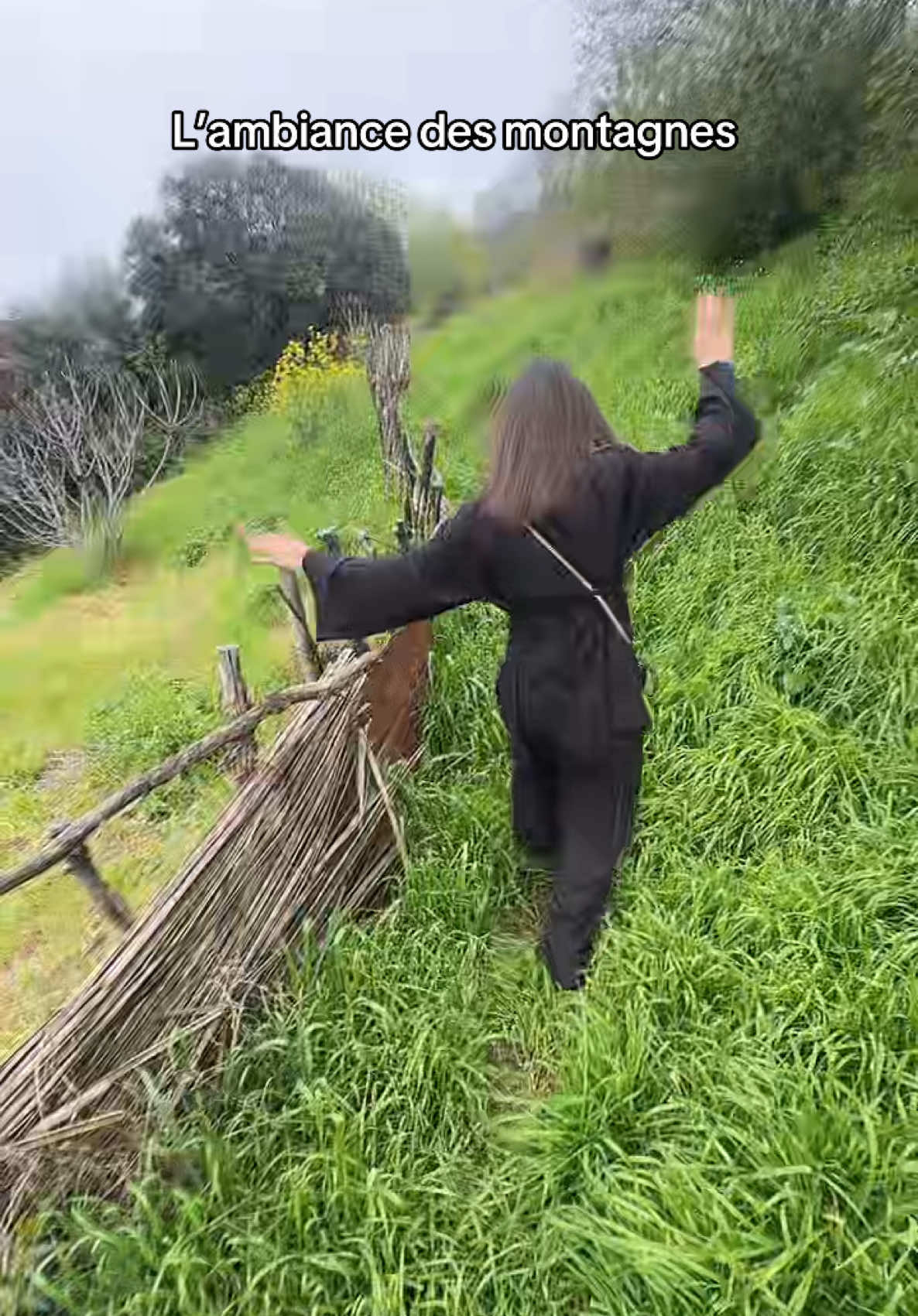 @Lysa.djurdjura