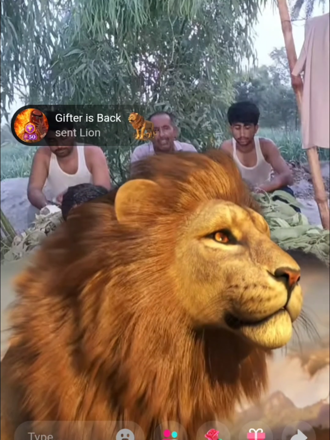 @Gifter is Back