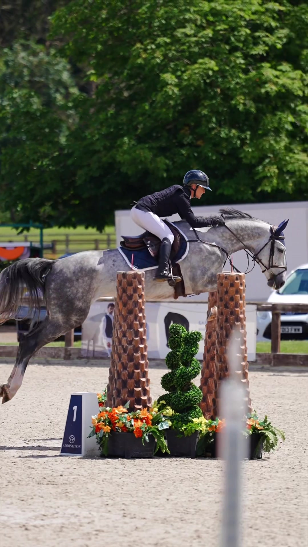 @Lucy Struthers Horses