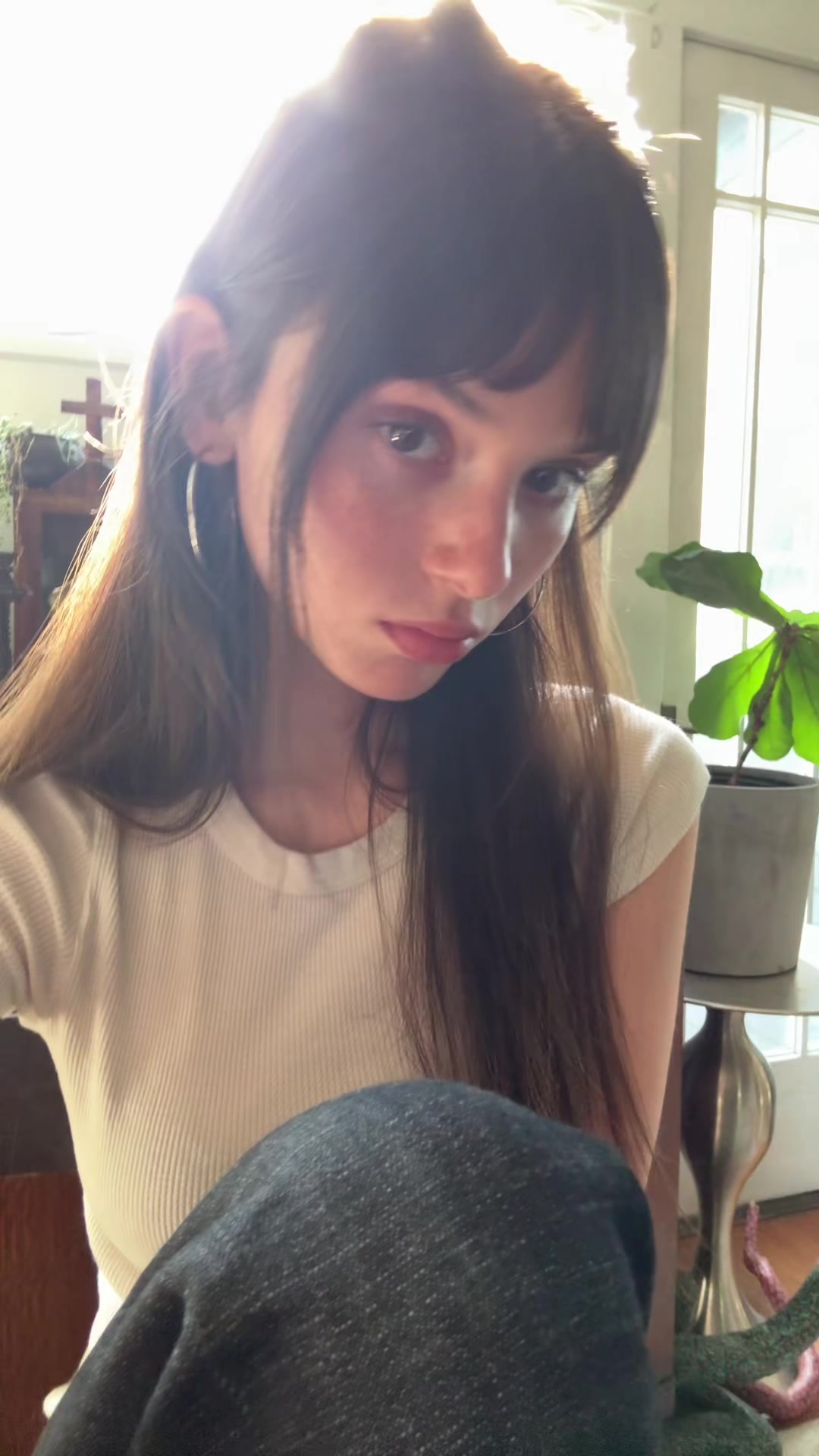 @shh