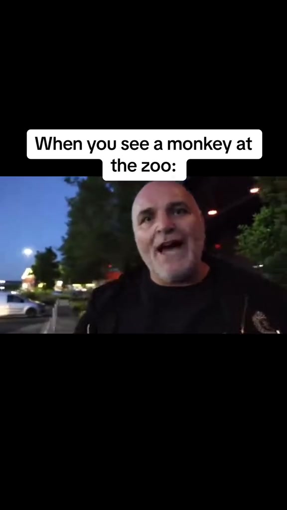@Dylan_Memes