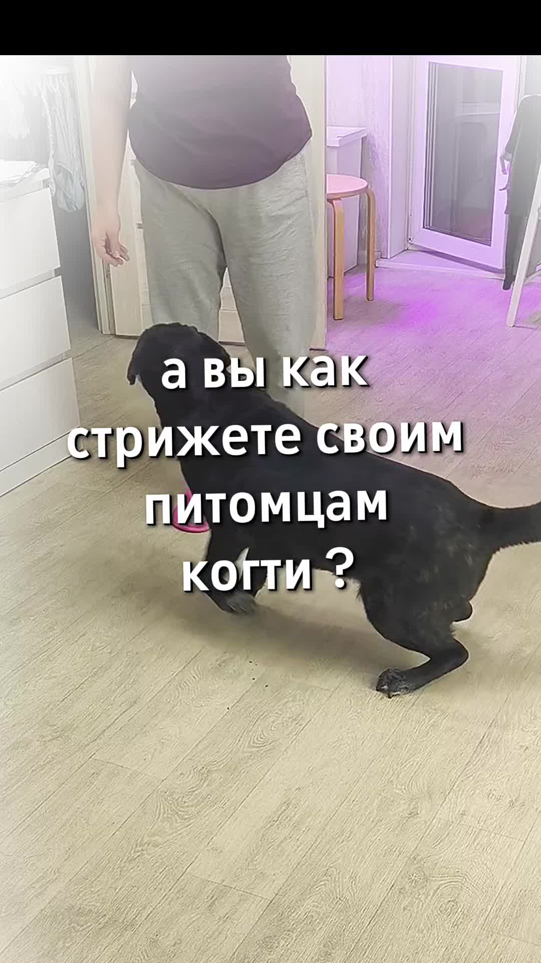 @Женя Садовая