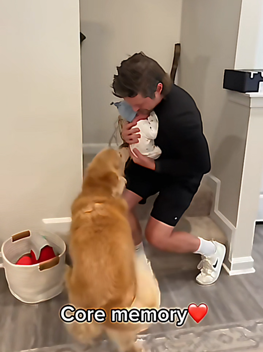 @dogmomentsdaily