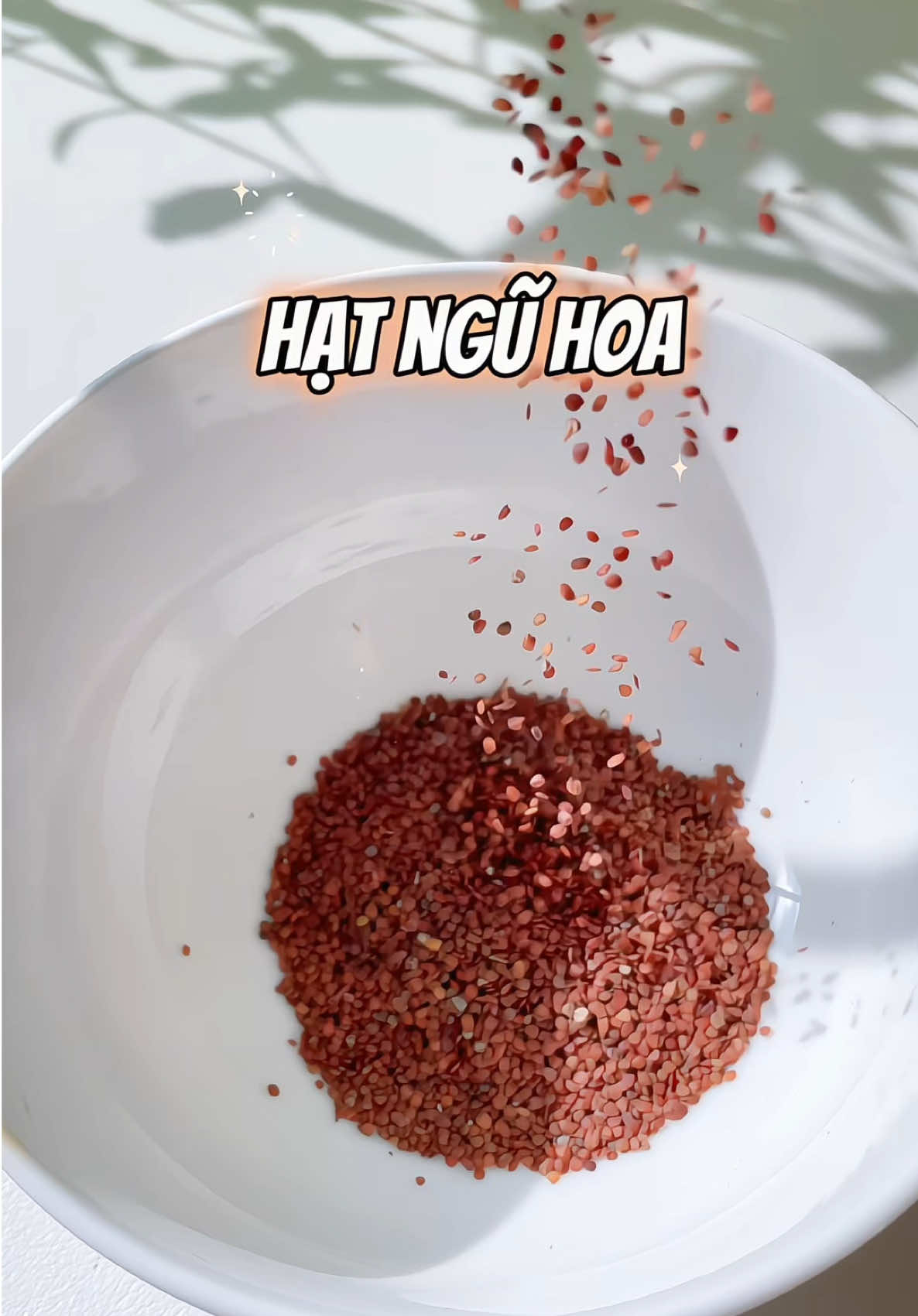 @khanhminhreview