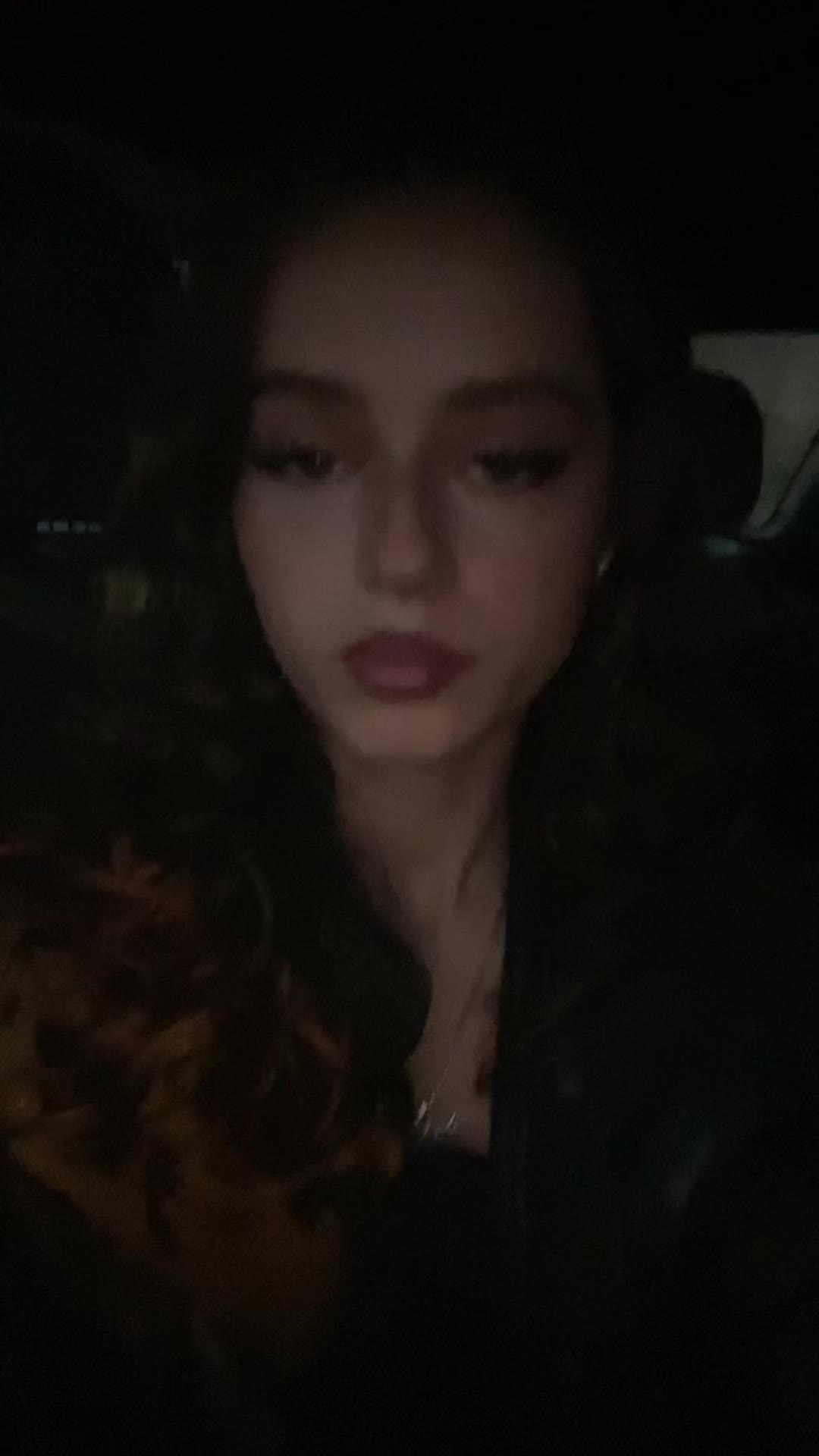 @️Tringa
