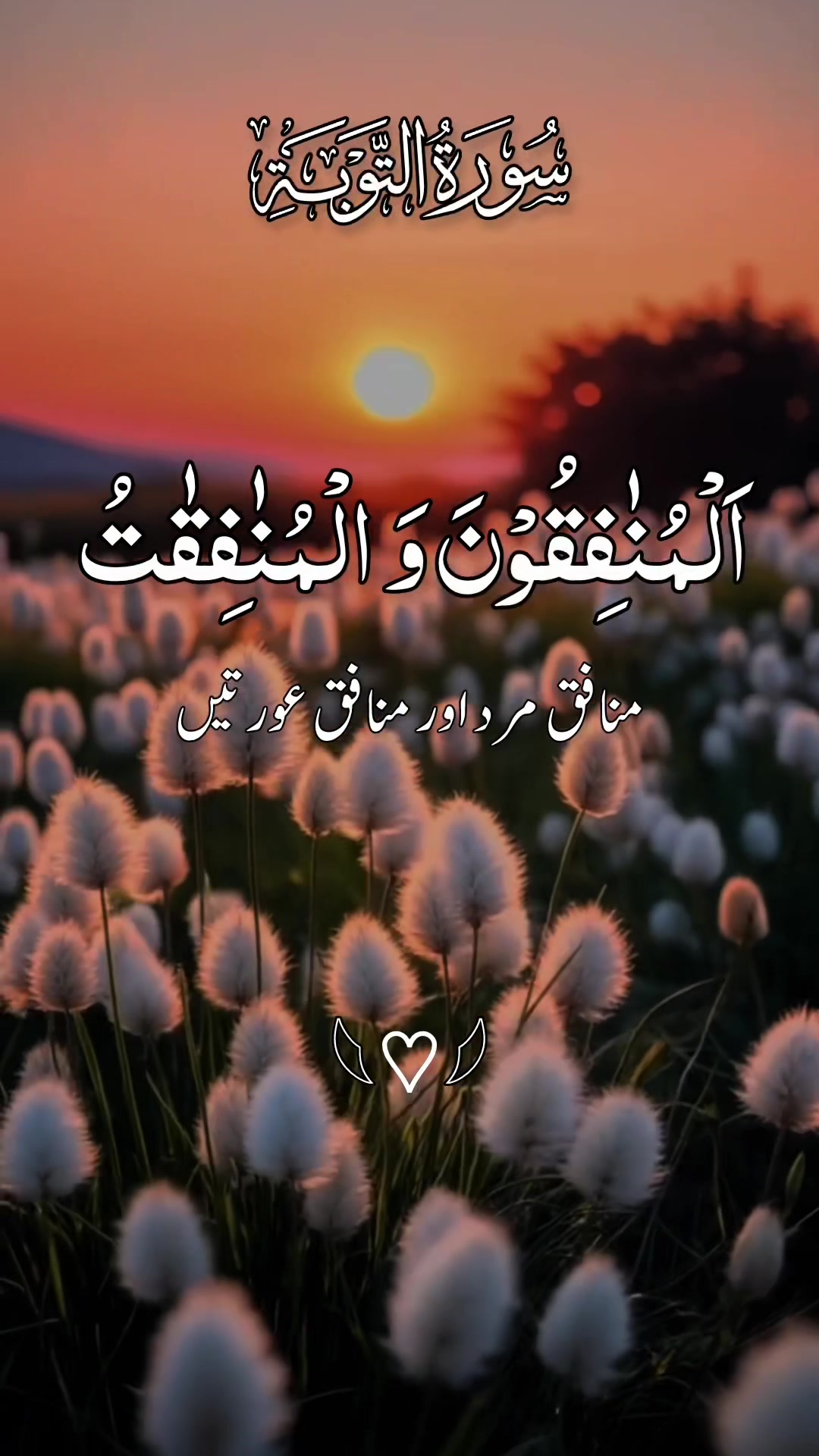 @❣️ Words of Allah ❣️