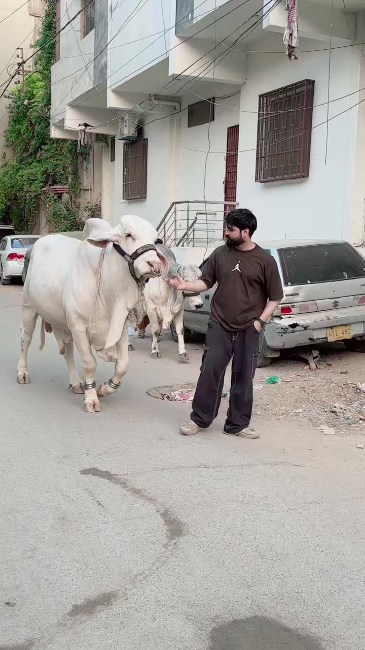 @SuFi Rasheed,,