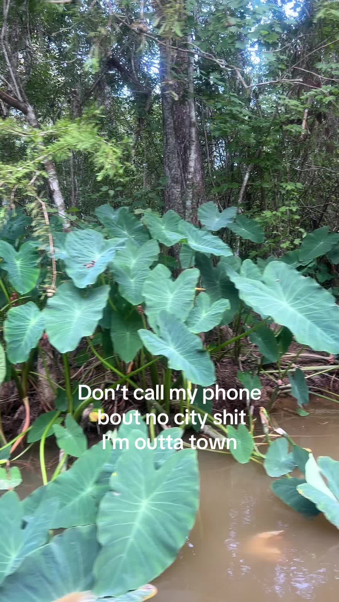 @bri🖤
