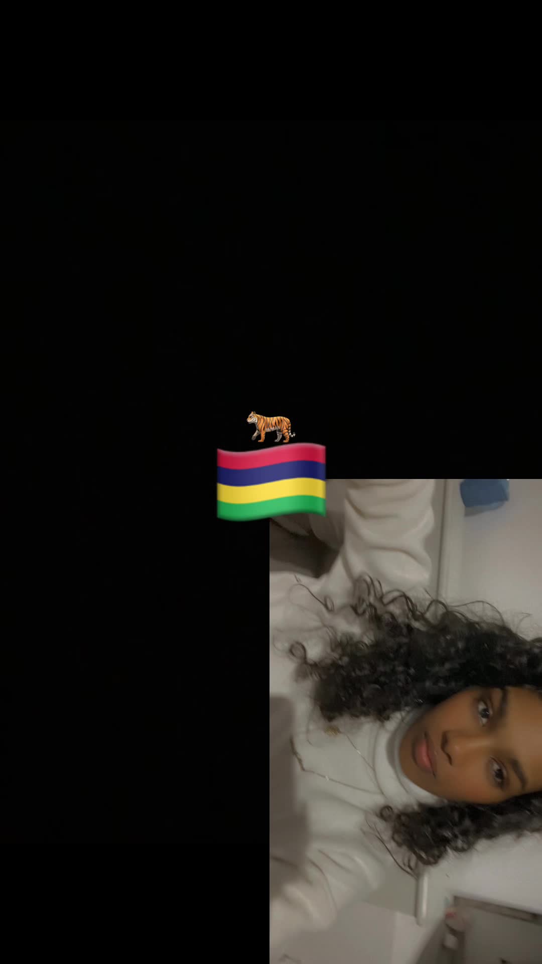 @San 🇲🇺🇫🇷 🐅