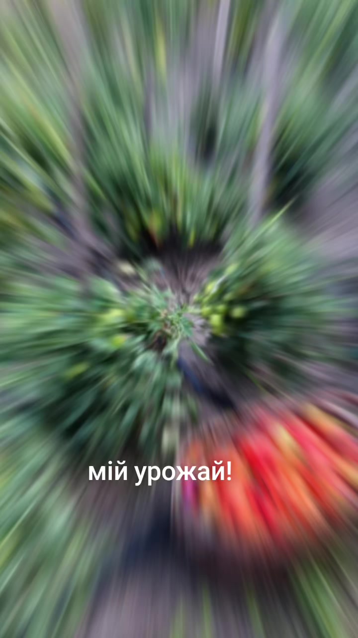 @Maria Ukraine