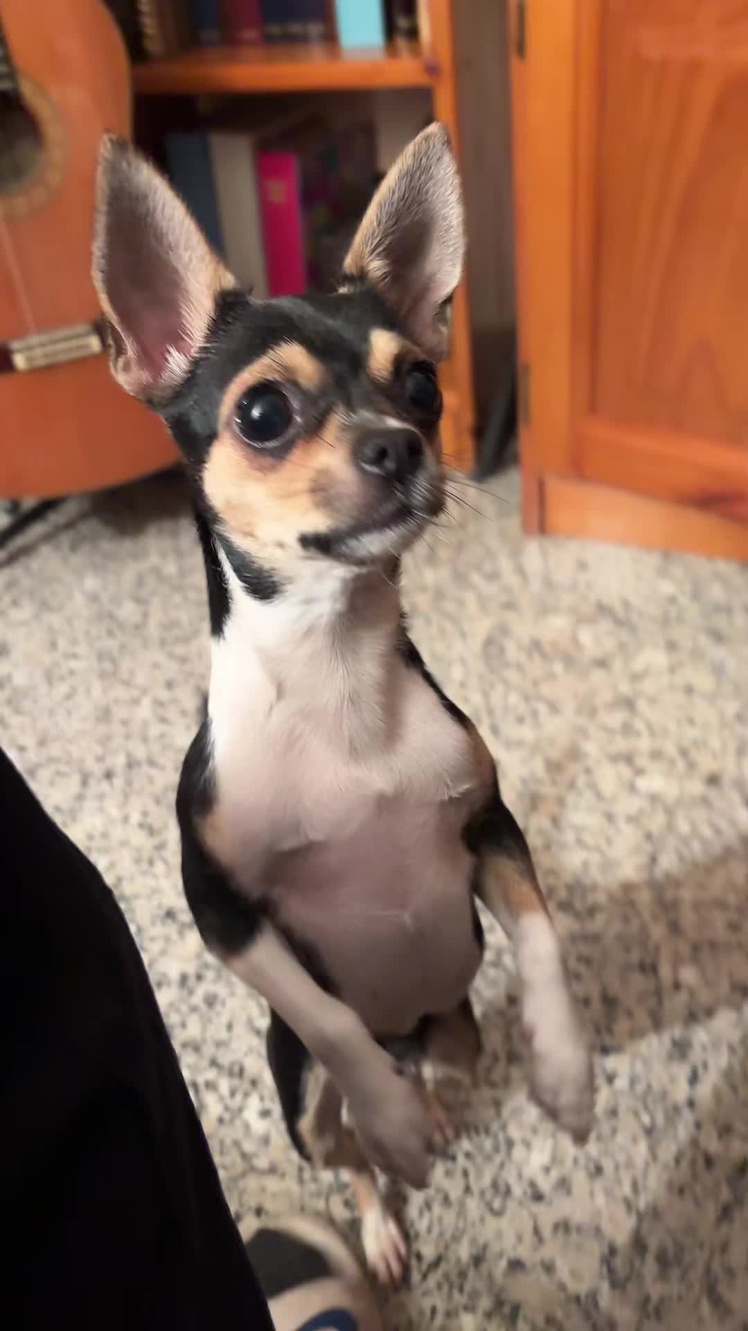 @ferpoza16