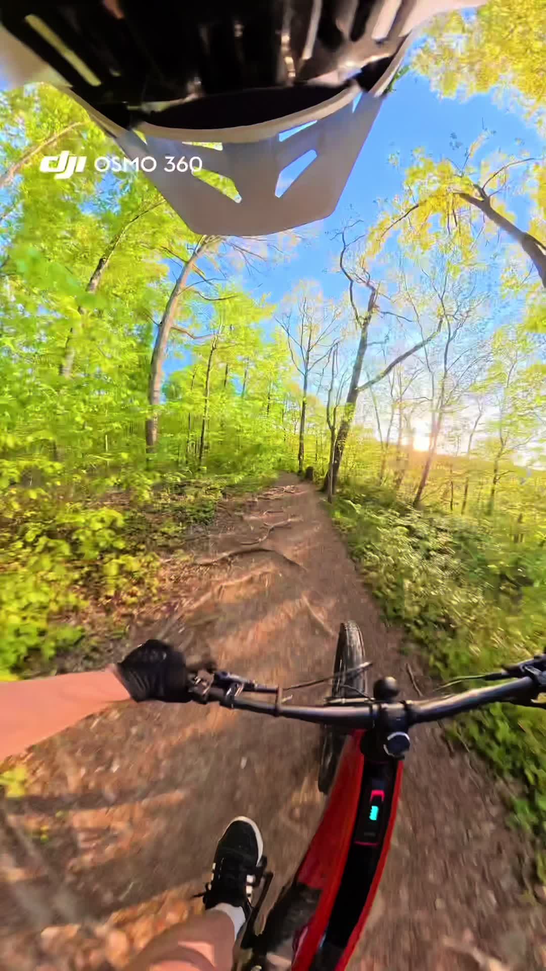 @Luca.mtb🇩🇪🦅✝️