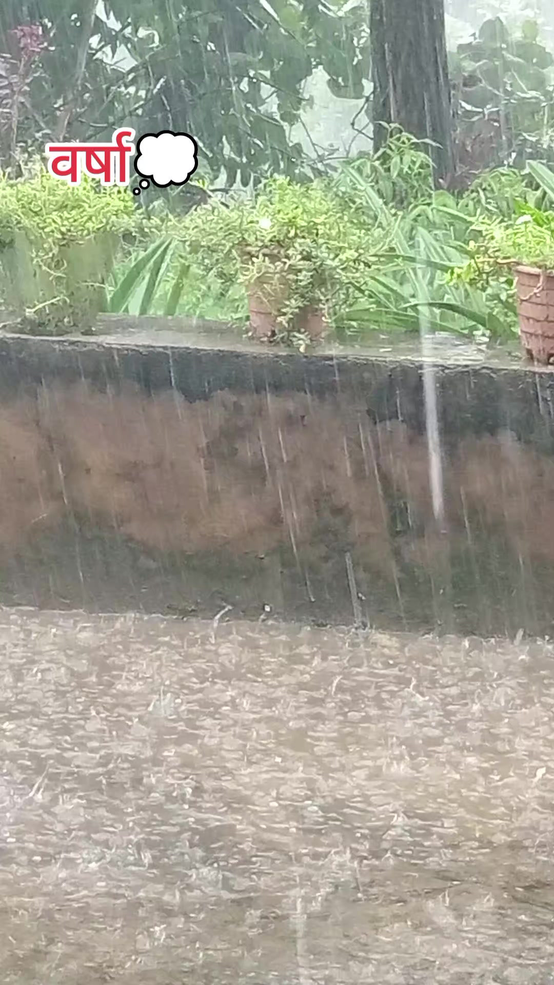 @बस्नेत काजी👨💻🇳🇵🇳🇵