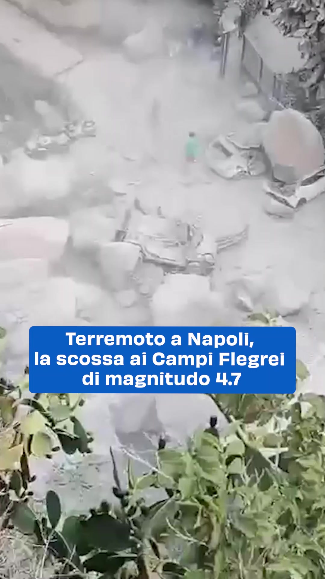 @Quotidiano Nazionale