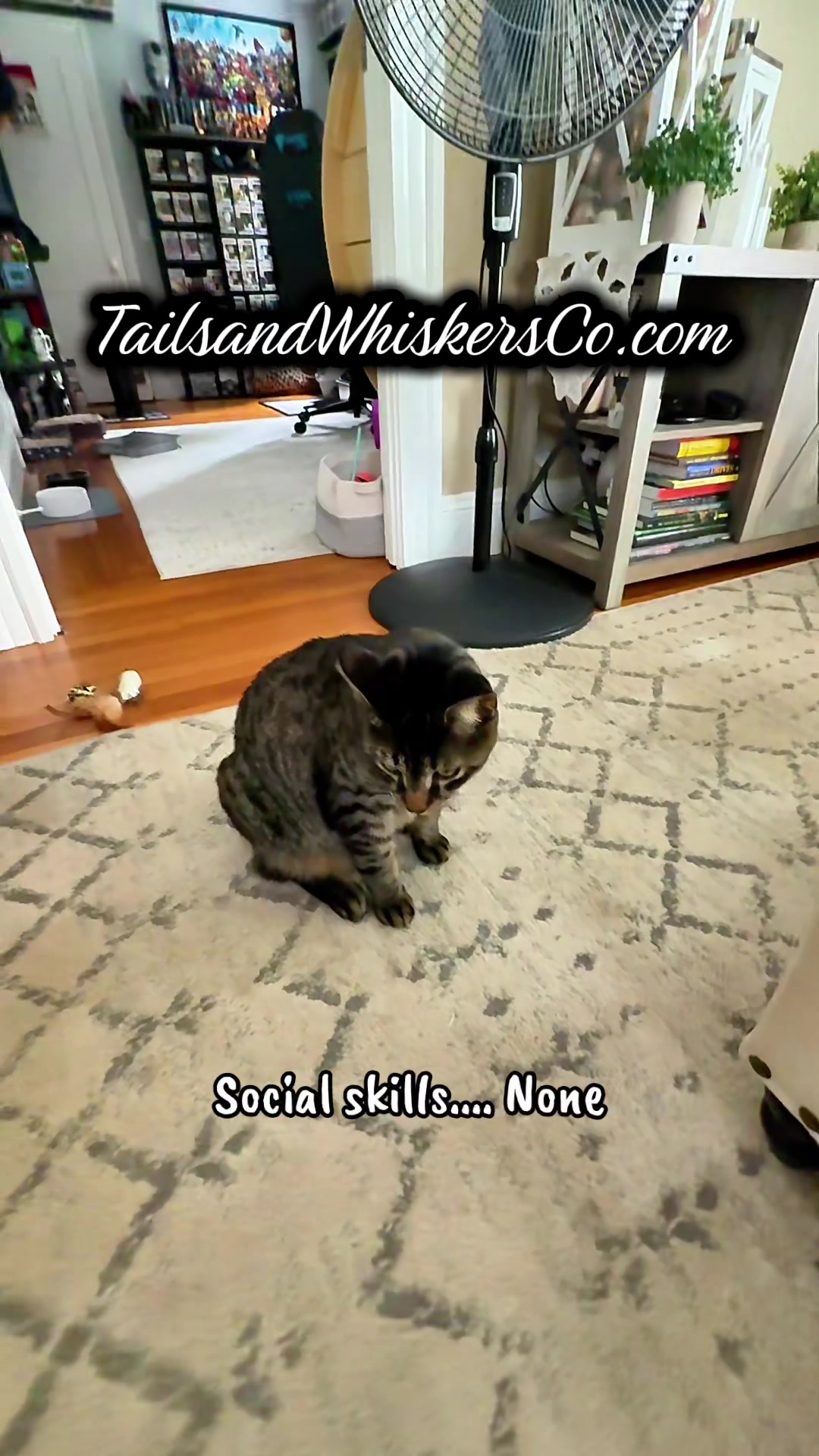 @TailsandWhiskersCo