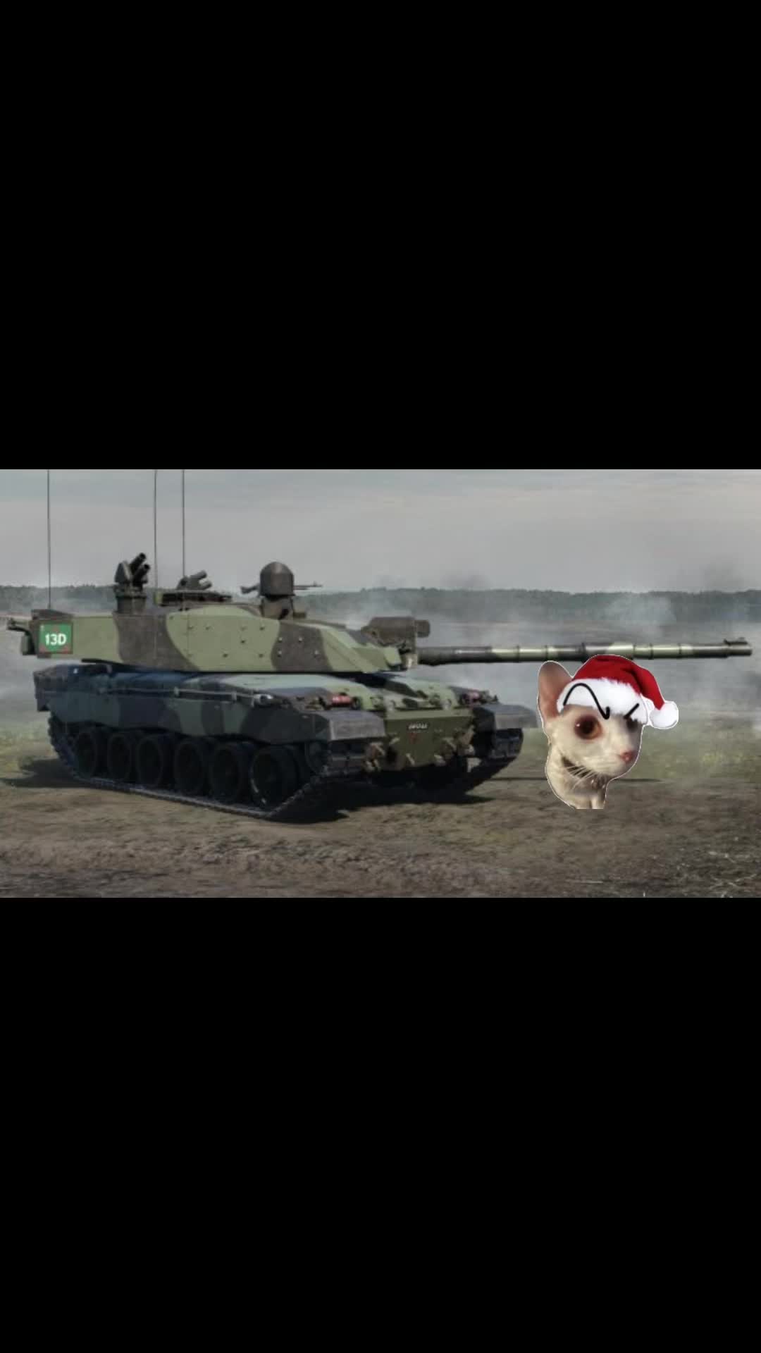 @TheWarKitty