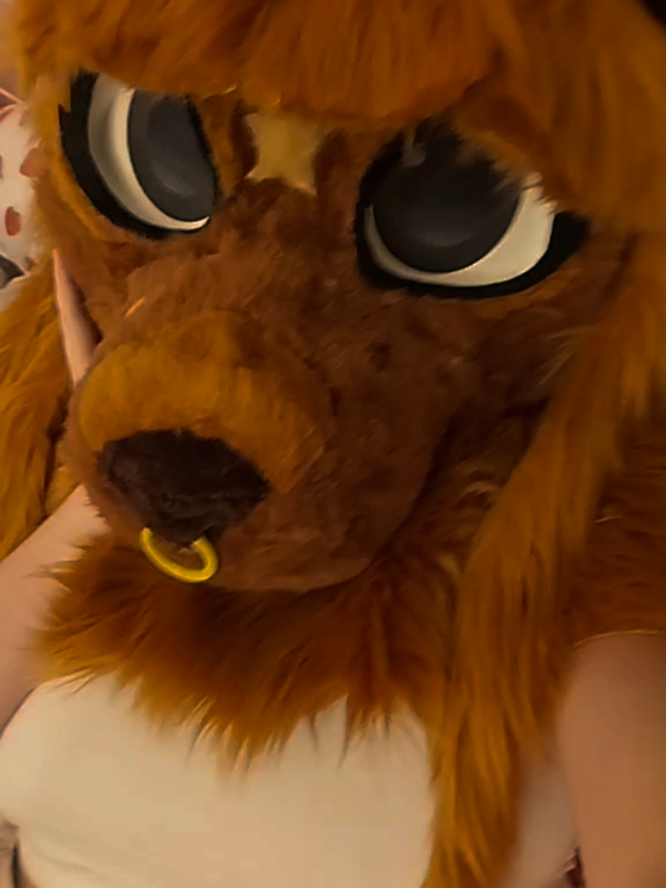 @𝙍𝙞𝙡𝙠𝙖 🦊