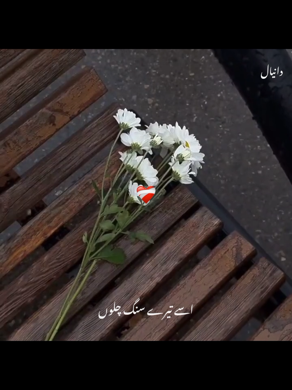 @Malik Daniyal