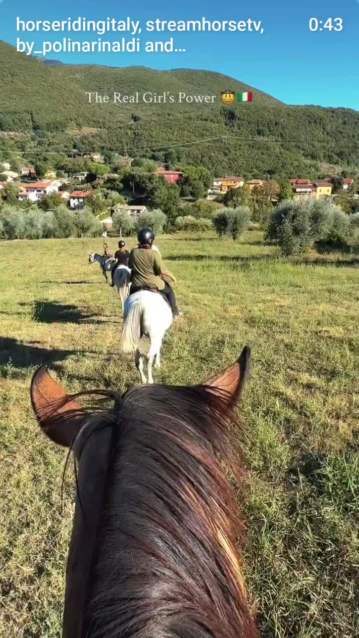 @streamhorse