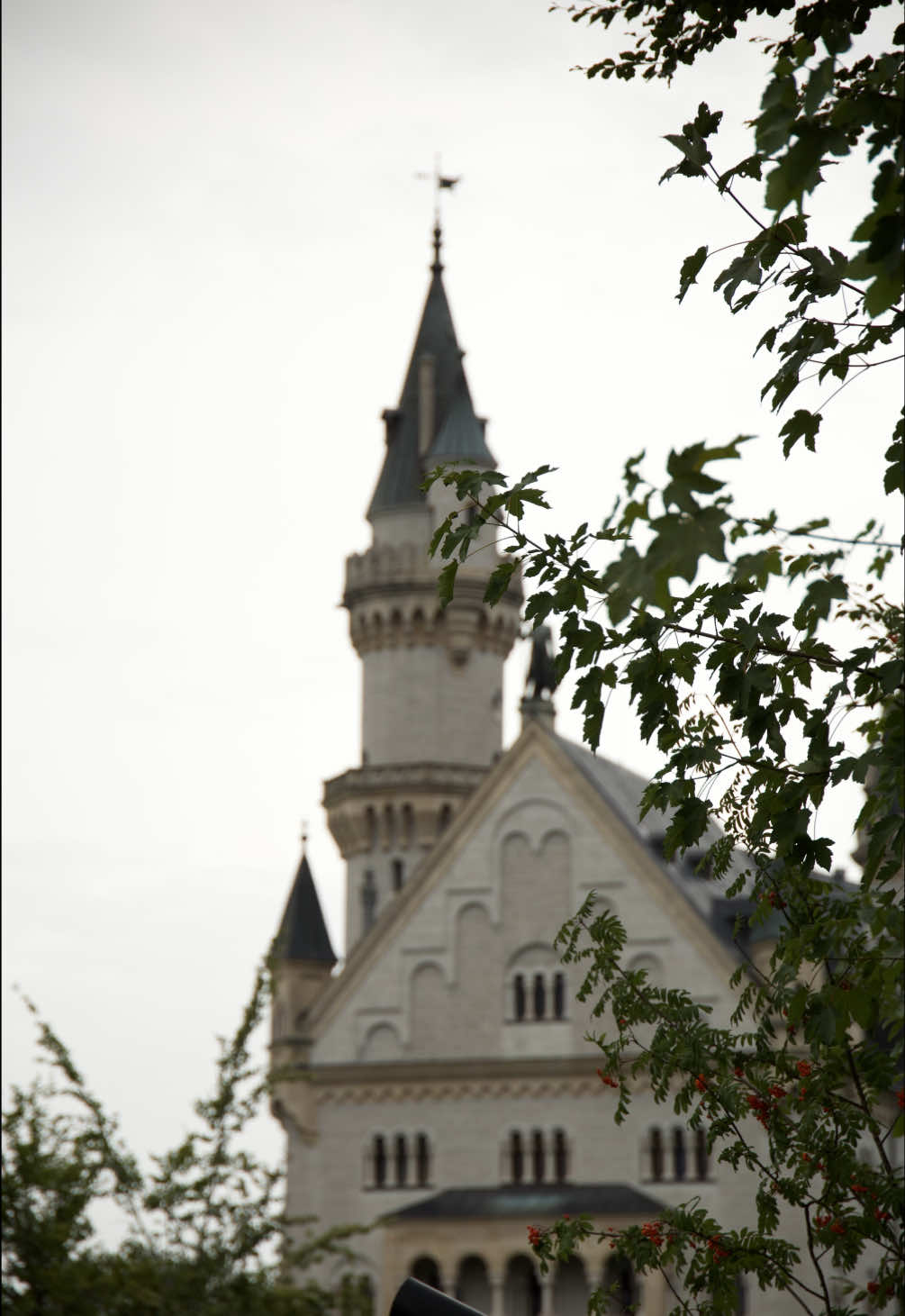 @wloczykijbartus
