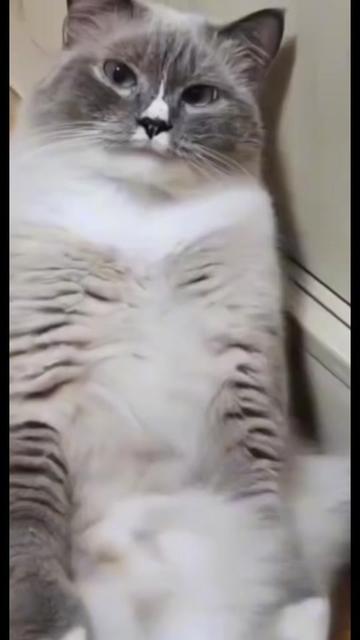 @ˆ˜¨๐ป๐น๐พโ๐ฟโก๐๐พโ๐พ๐น๐ป ¨˜ˆ