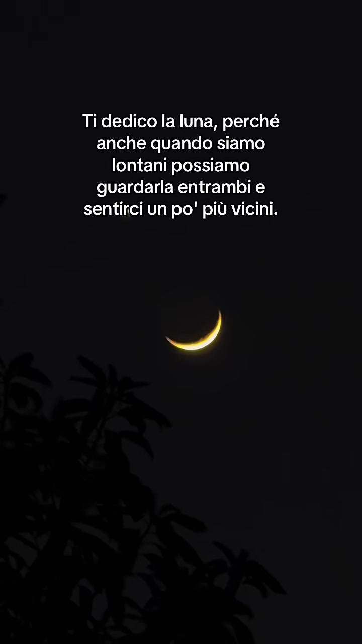 @lucacacciapuoti4