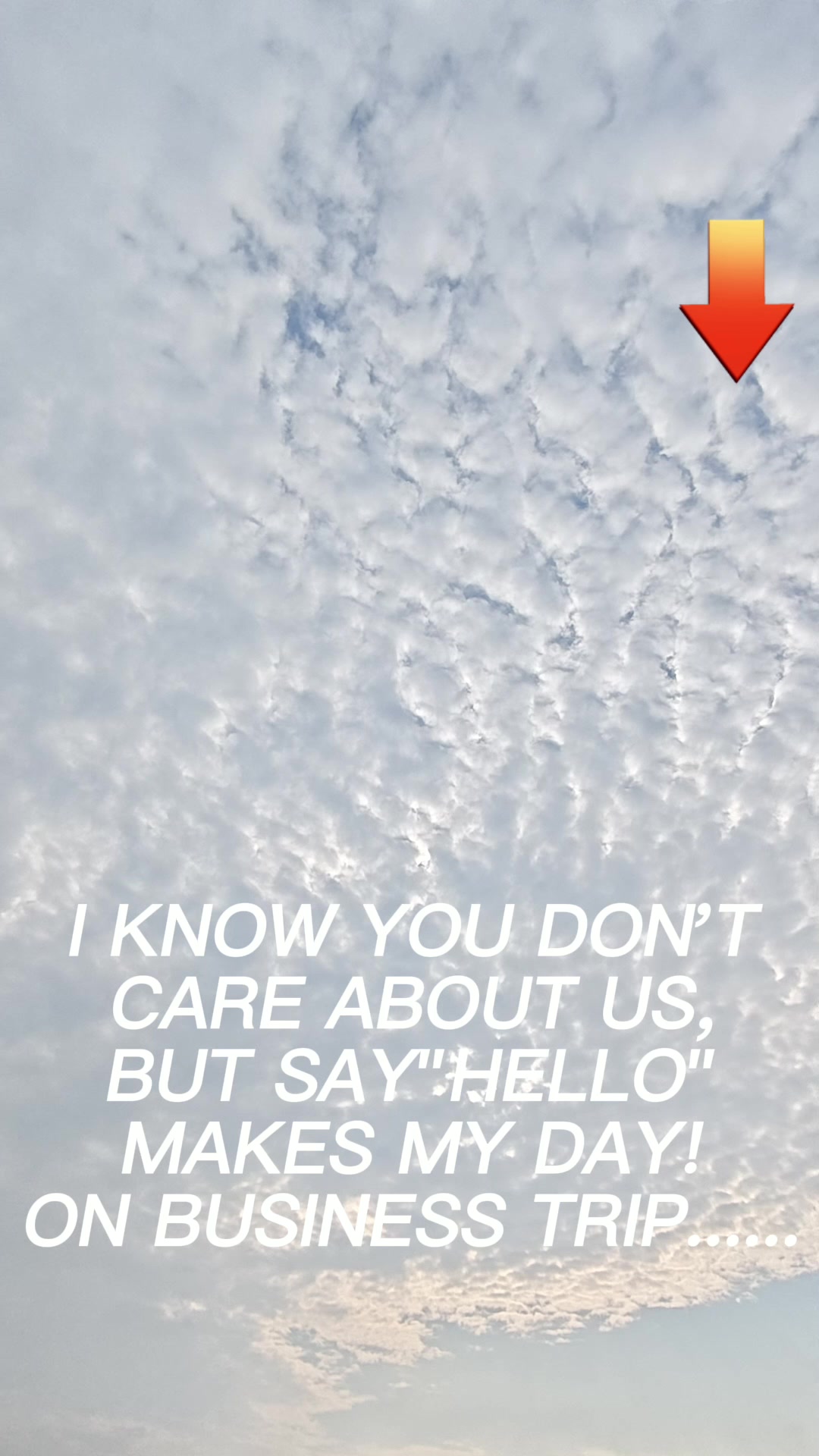 @David.USA