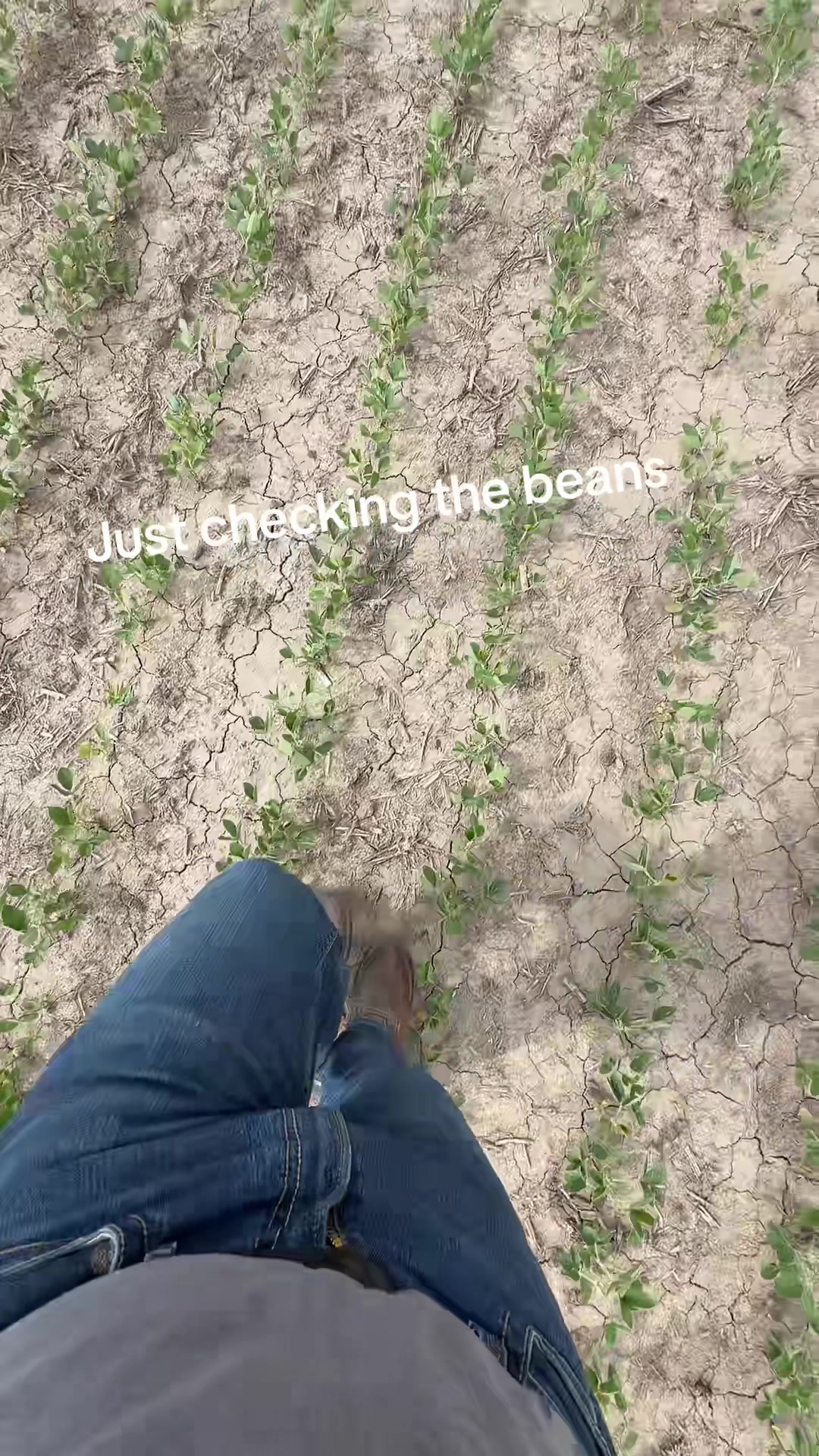 @Indianafarmerbrian