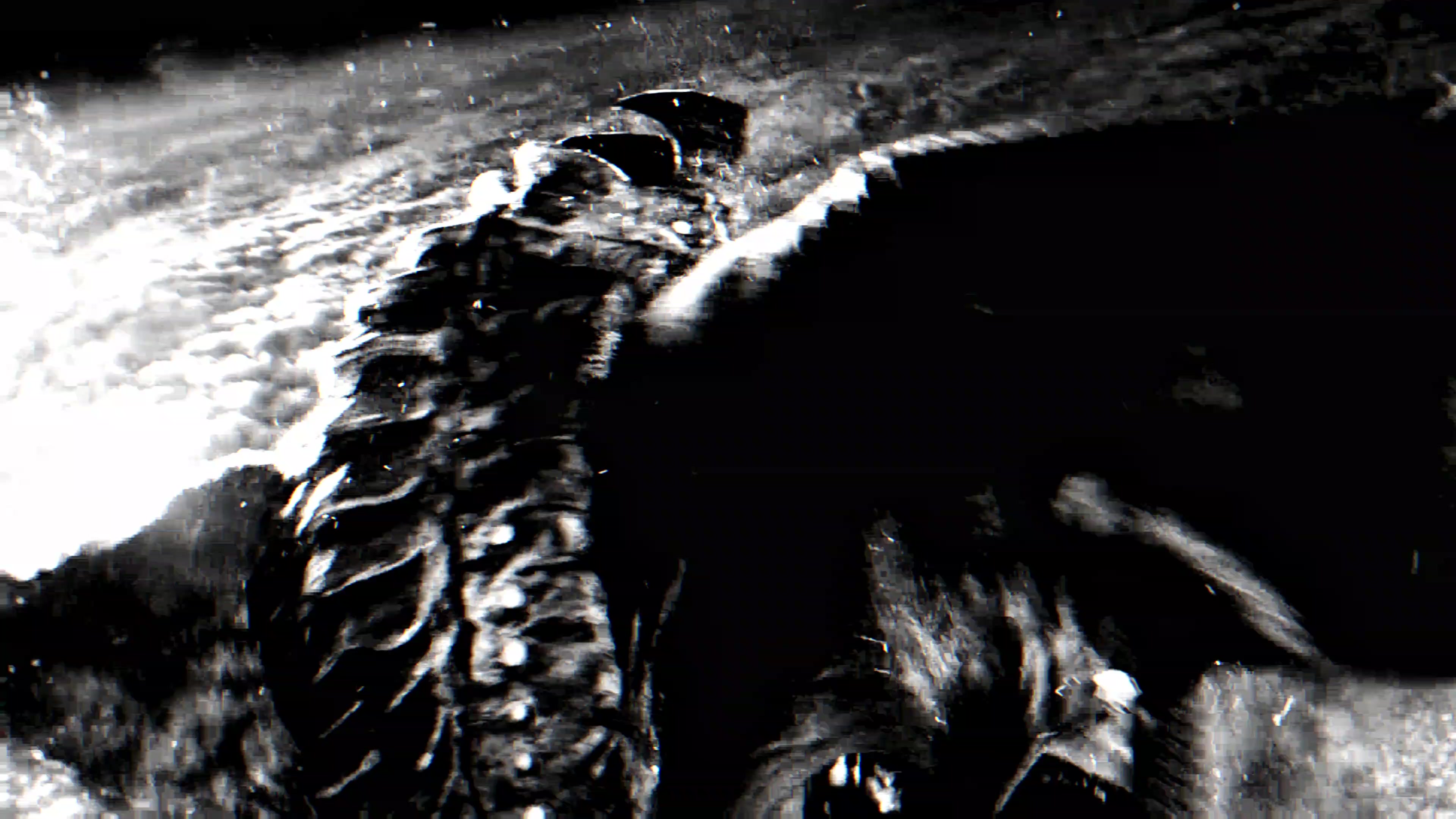 @𝙱𝚁𝚄𝚃𝙰𝙻