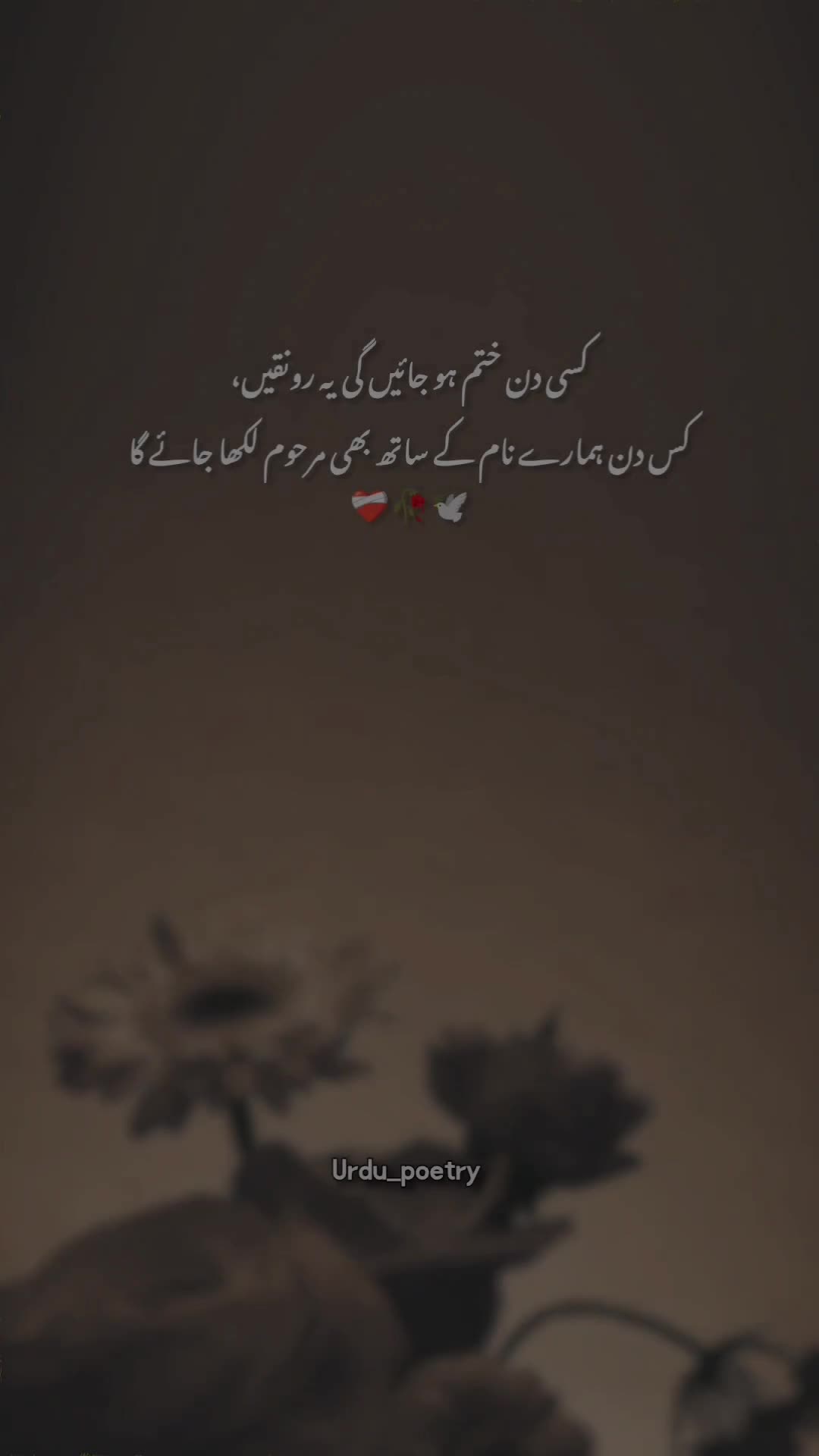 @𝐃𝐞𝐞𝐩 𝐥𝐢𝐧𝐞𝐬 ✨