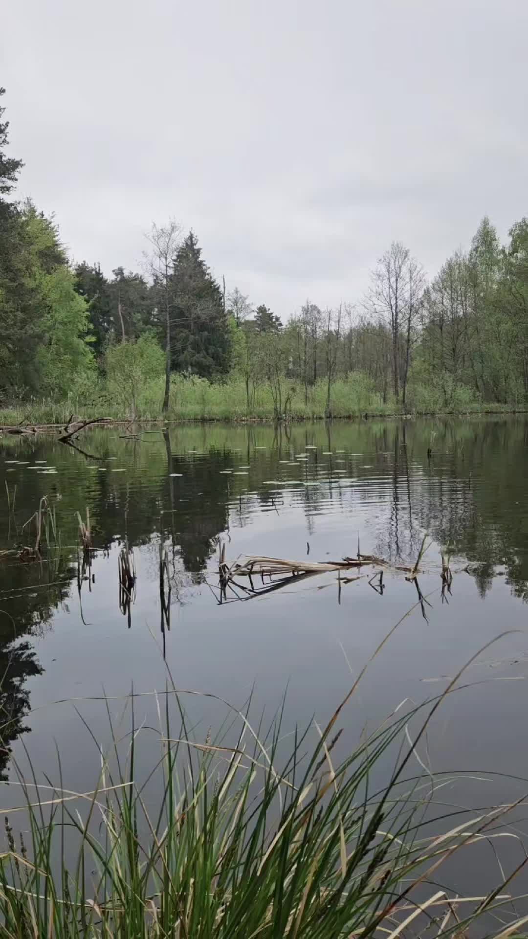 @mfly_lures