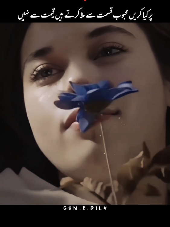 @𝐆𝐮𝐦.𝐞.𝐃𝐢𝐥