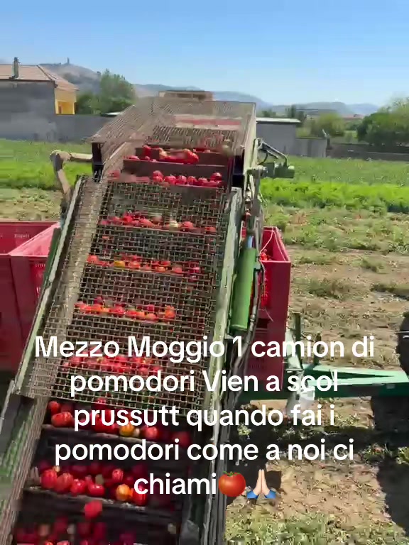 @Enzo🧊
